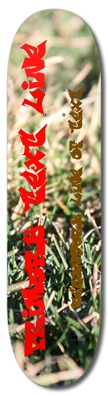 Grass Up Close