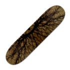 Navillus