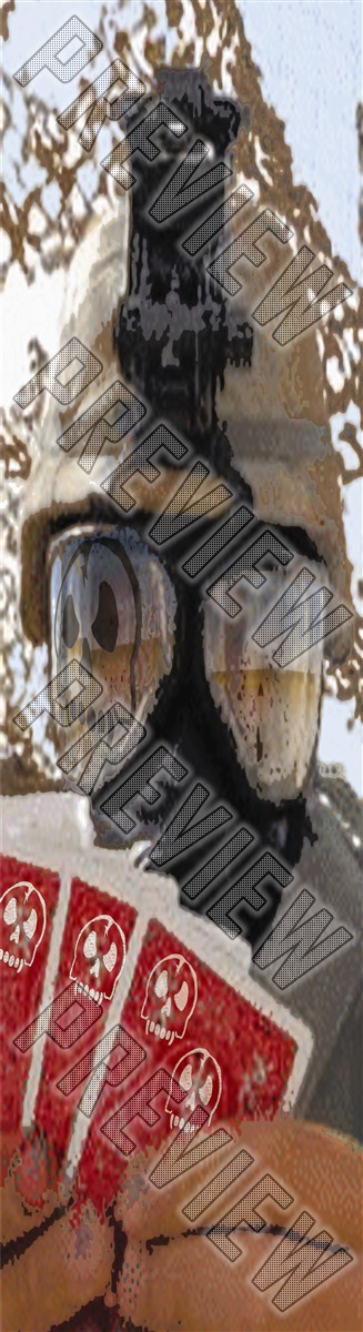 8-1/4 Inch Skateboard 8-1/4 Skateboard Deck