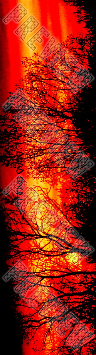 Burnt Up 7-7/8 Skateboard Deck 7-7/8 Skateboard Deck