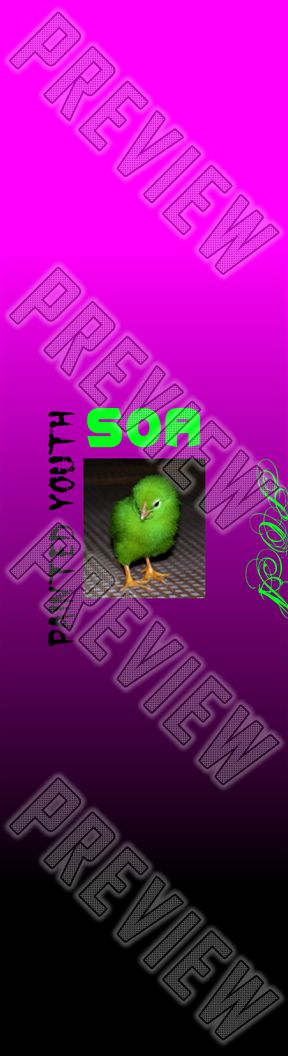 SOA's Painted Youth 7-1/4 Mini/Kid Skateboard