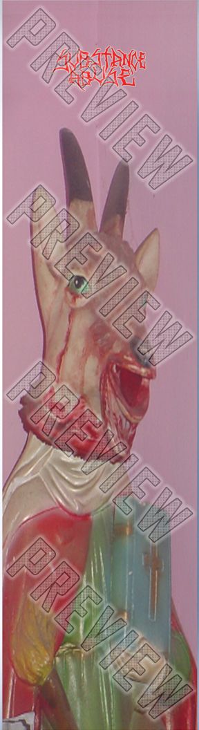 8-1/4 'BLASPHEMY' Deck 8-1/4 Skateboard Deck