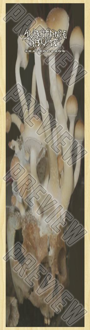 7-3/4 'CHIA-SKULL 2' Deck  7-3/4 Skateboard Deck 