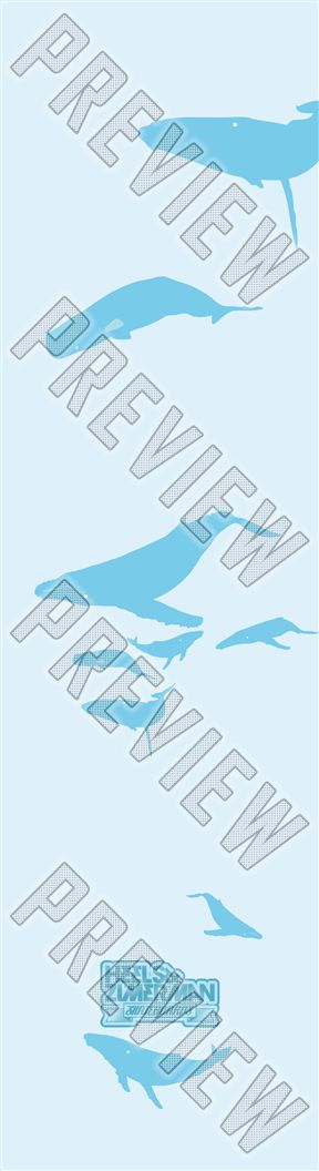 WHALES 8 Inch Skateboard Deck