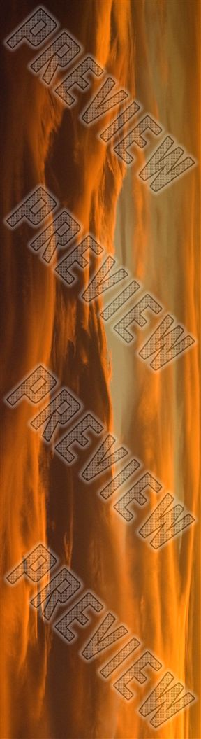 Sunset 7-7/8 Skateboard Deck