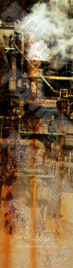 Deconstructing Industry by Robin Rios  7-3/4 Skateboard Deck 