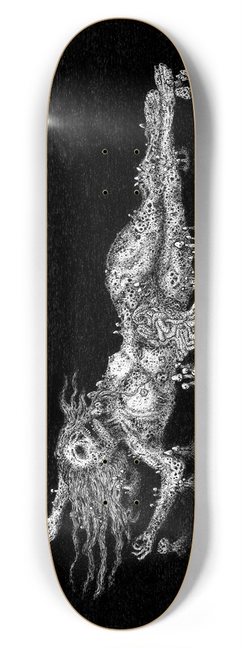 7-3/4 Skateboard  Deck 