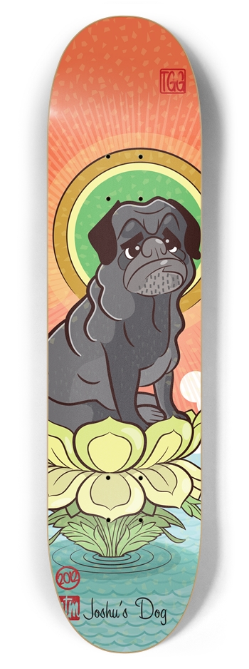 Case 1: Joshu's Dog