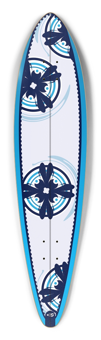 pintail_h10_medallion