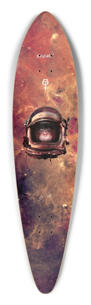 HAM Mercury Mission Pintail