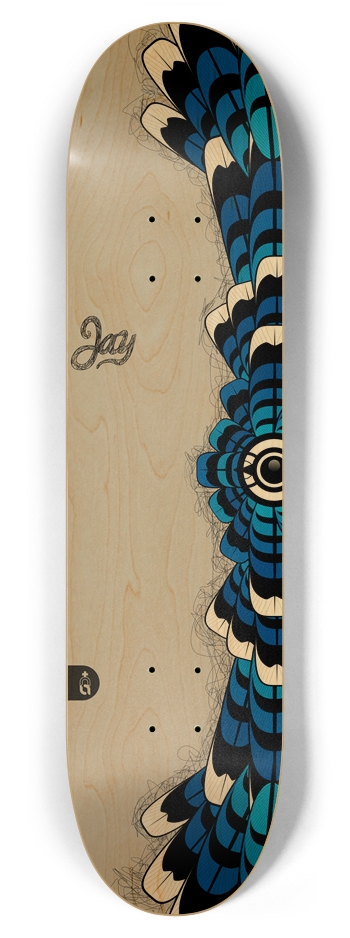 edged_jay