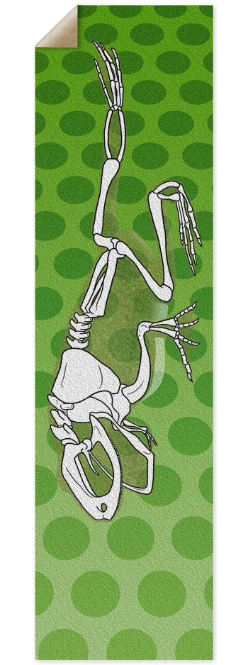 Frogbones Griptape