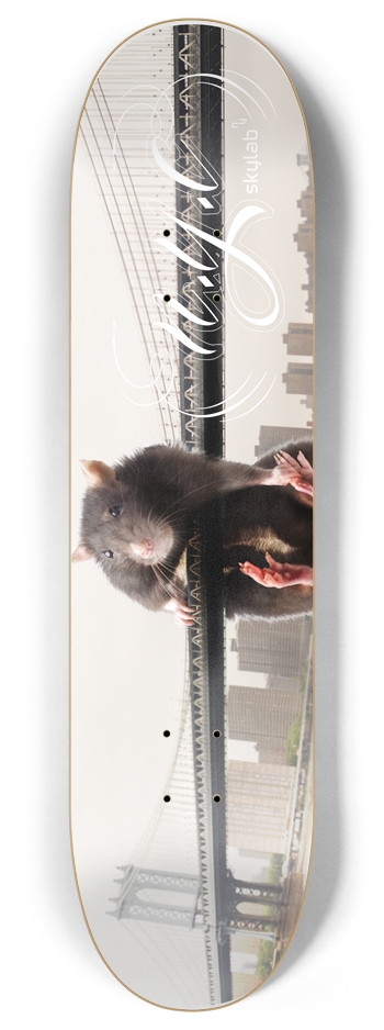 Skylab NYC Rat