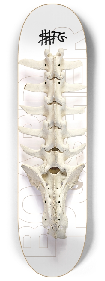 STFG Backbone