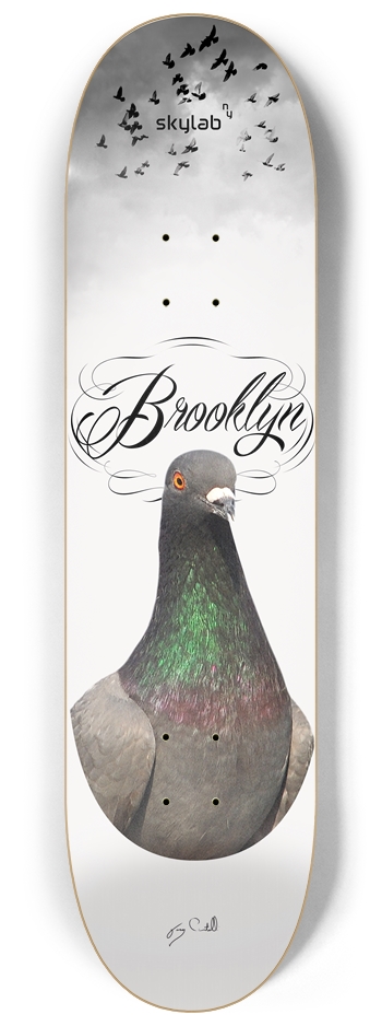 Brooklyn Pigeon 8.25