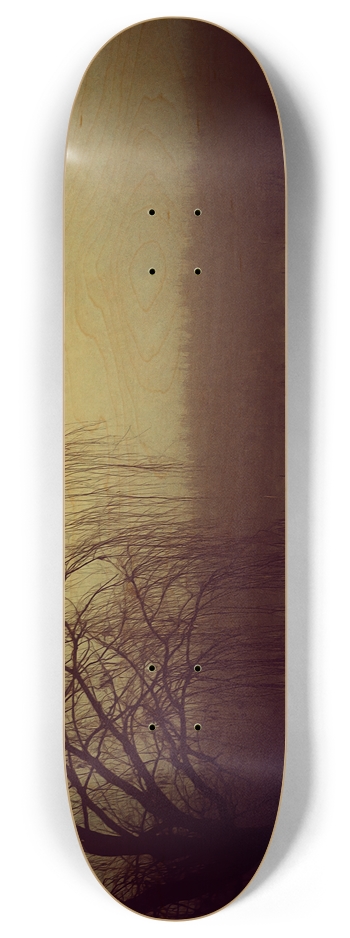 The Haze