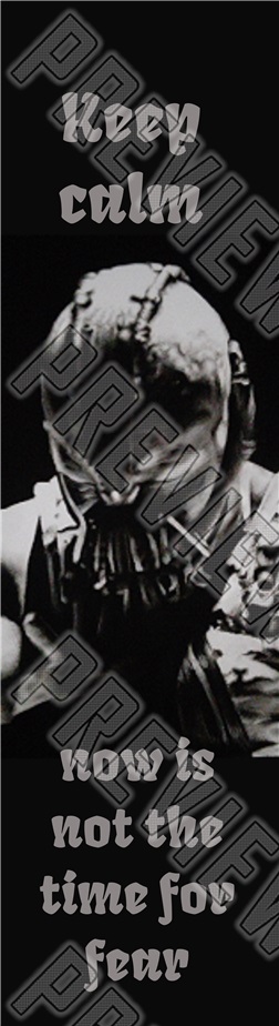 Bane Skateboard 7-3/4 Skateboard Deck 