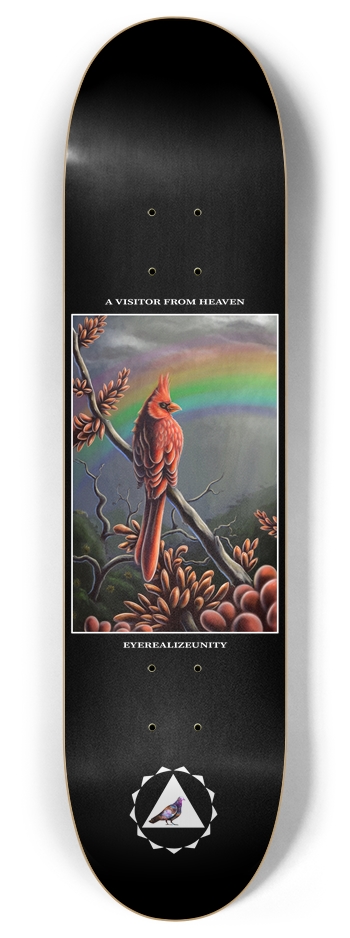 A Visitor From Heaven (black)