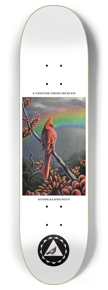 A Visitor From Heaven (white)