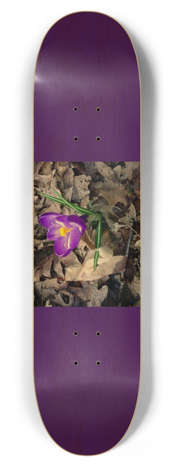 Purple Flower