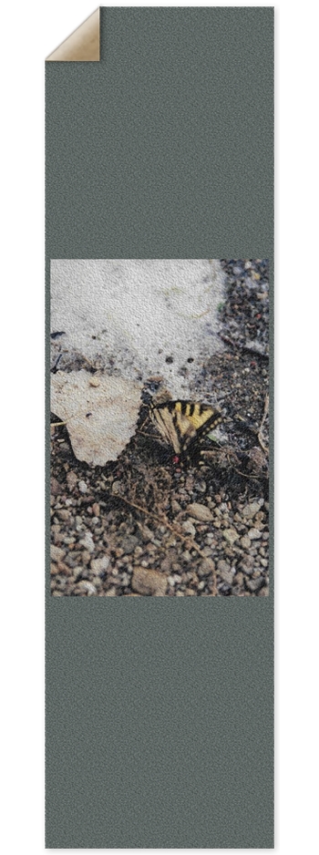 Beach Butterfly
