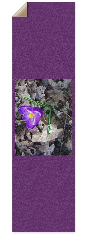 Little Purple Flower
