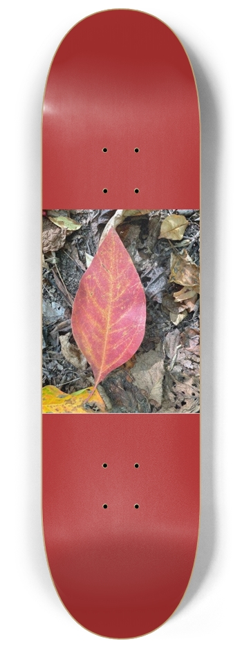 Red Leaf 