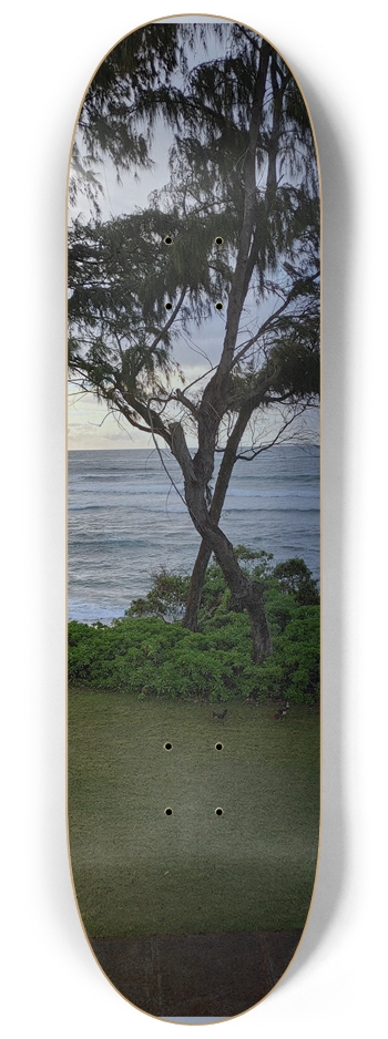 Kauai Hawaii .. Nature