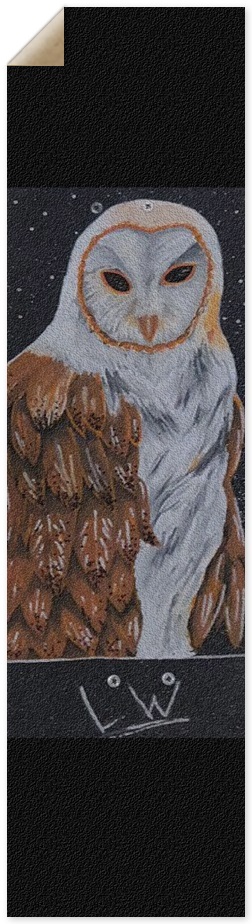 Owl Griptape 