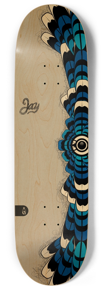 edged_jay.900