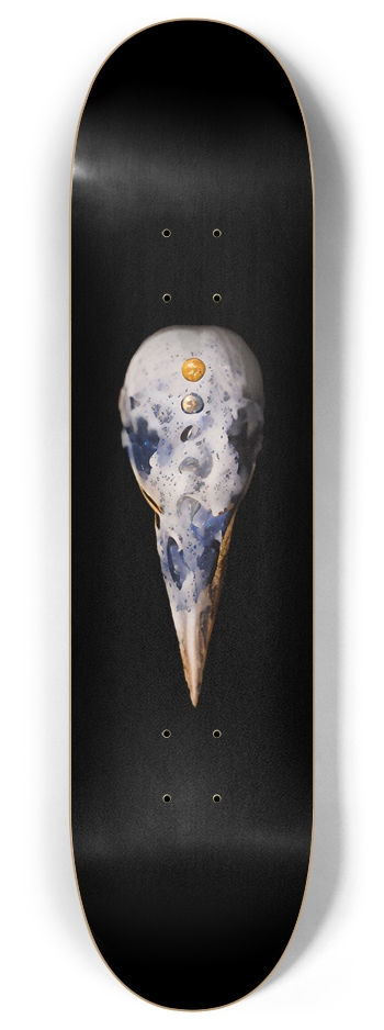 Moon Raven