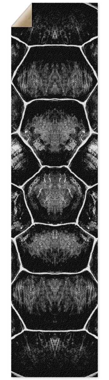 Shell Griptape- Longboard