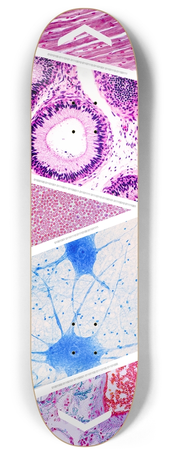 NIH Popsicle