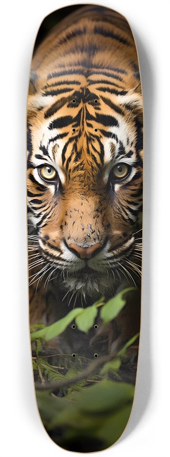 Crouching Tiger Skateboard