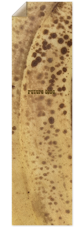9” x 33” Griptape - Split 
