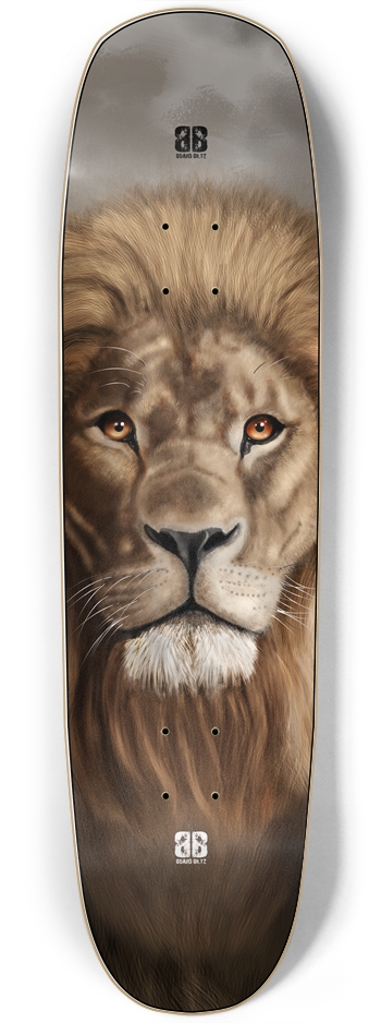 LION STARE