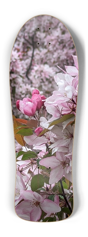 Old School Blossom 