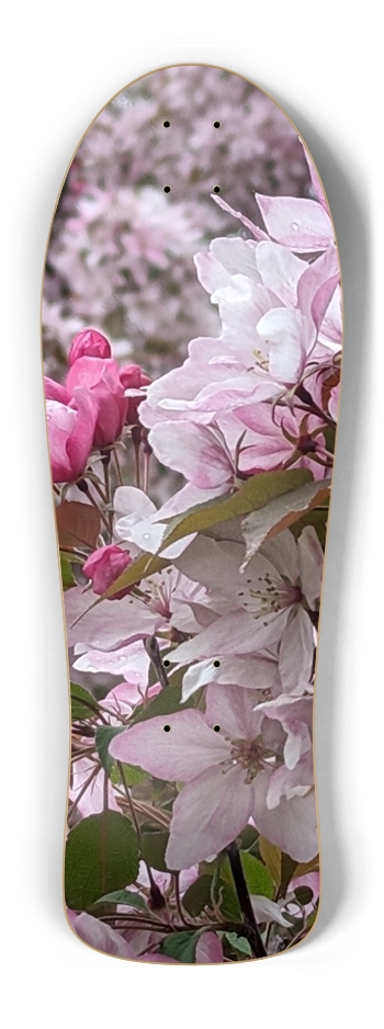 Old School Blossom 