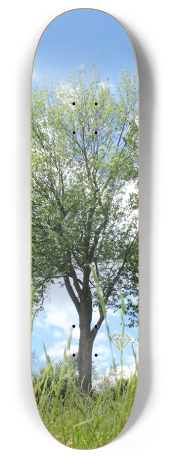 Tree / 8''