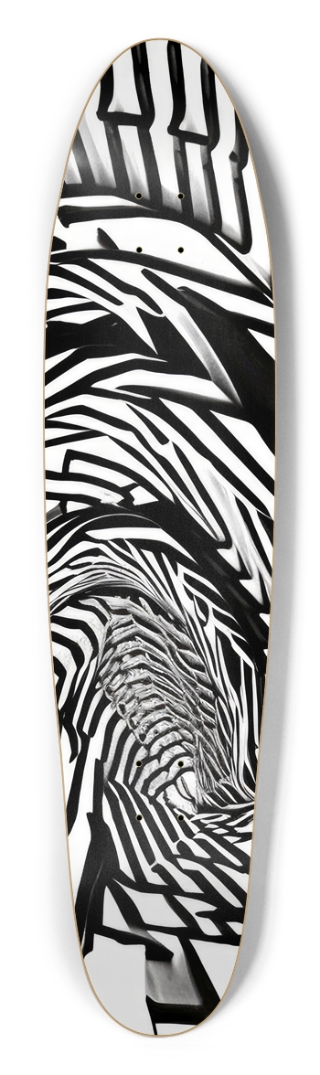 Longboard | Spiralling 001 BW