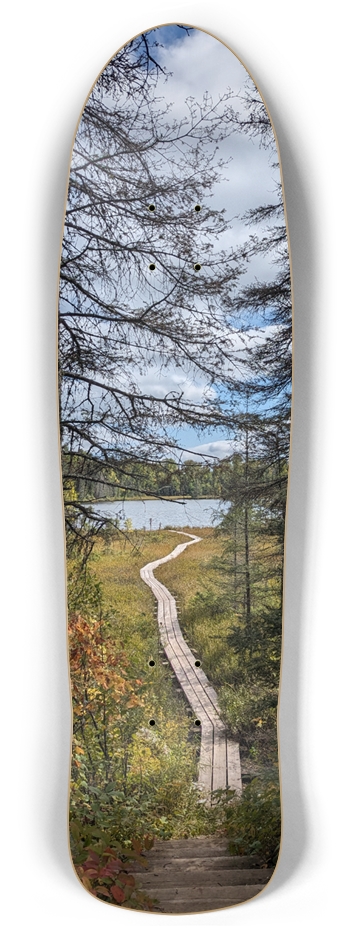 Custom Skateboard
