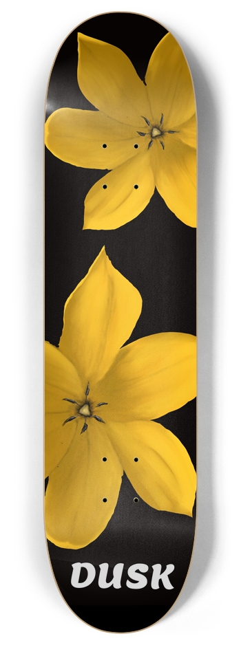 Custom Skateboard