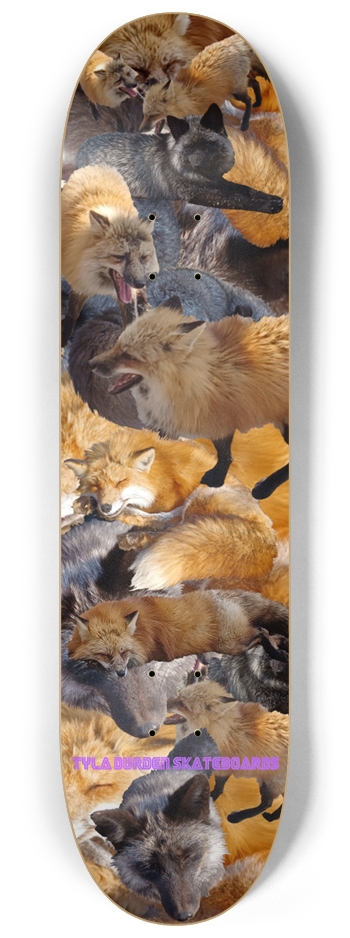 The 6 Foxes of Miyagi Zao Village