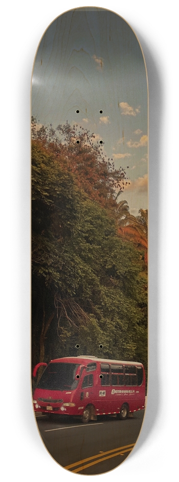 Custom Skateboard 8-1/4 Skateboard Deck