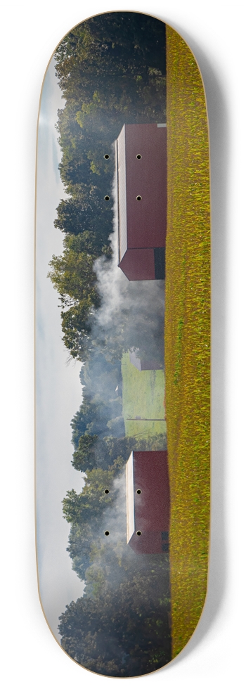 Curing Tobacco 