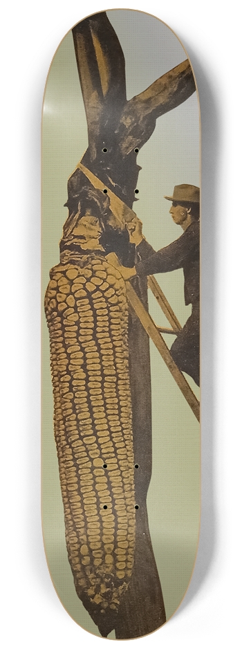 Corn Farm