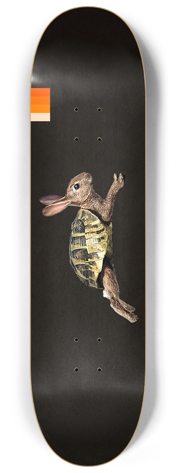 Rabbit Fighter