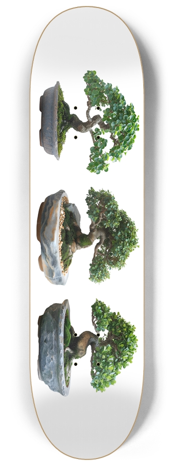 Bonsai Tree Custom Skateboard 232 Skateboards 