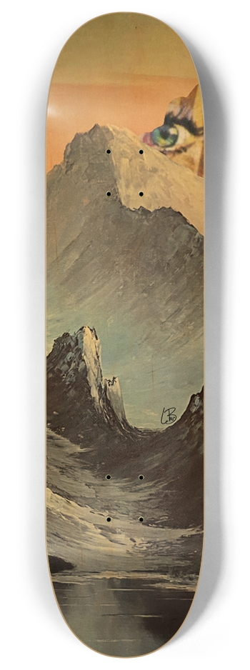 Custom Skateboard