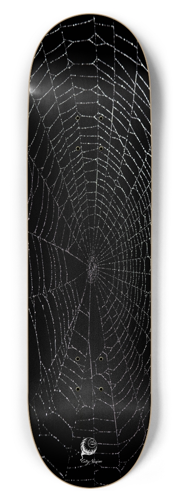 Spider Web 8.75